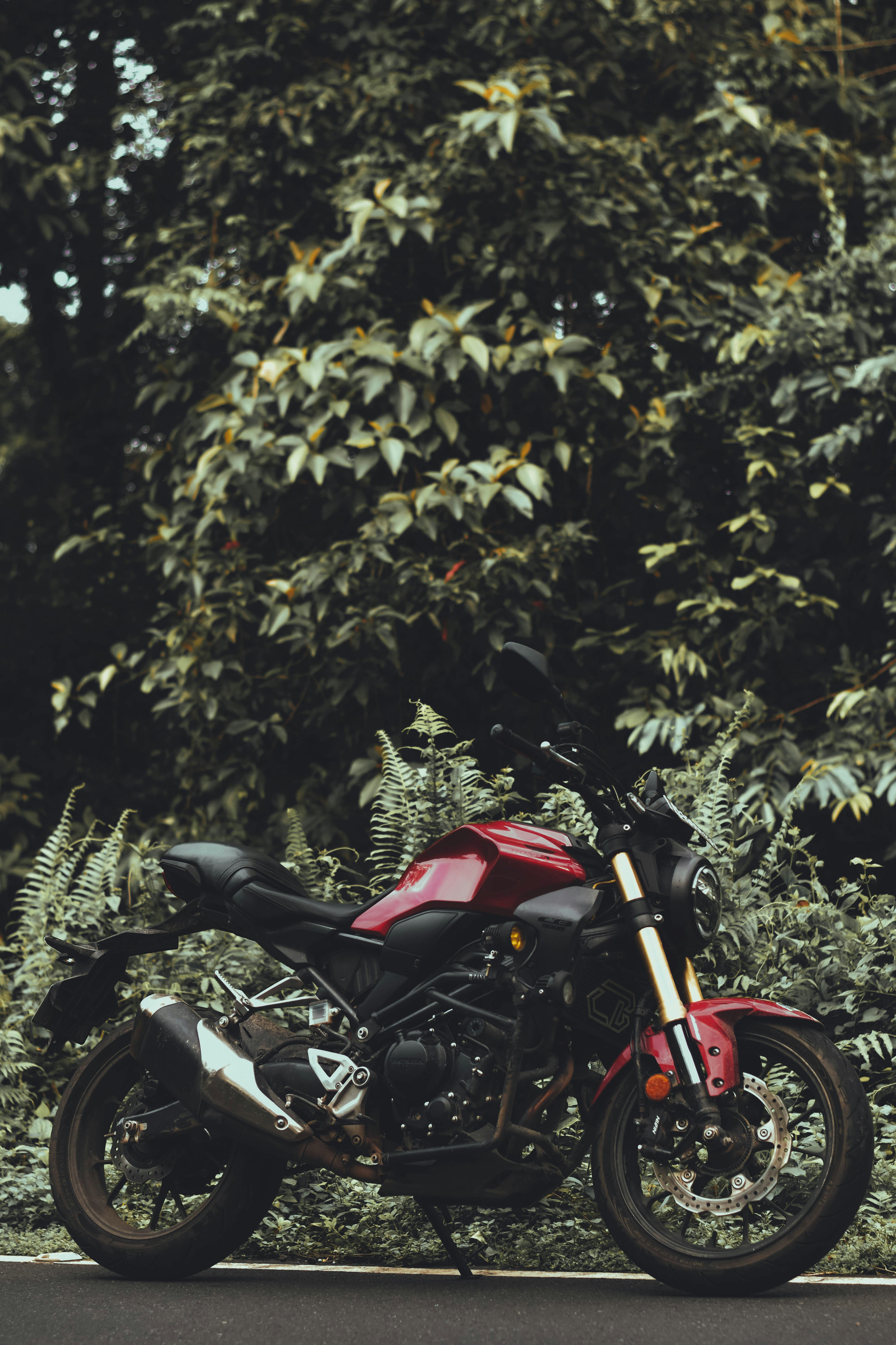 Photo by bottleninja