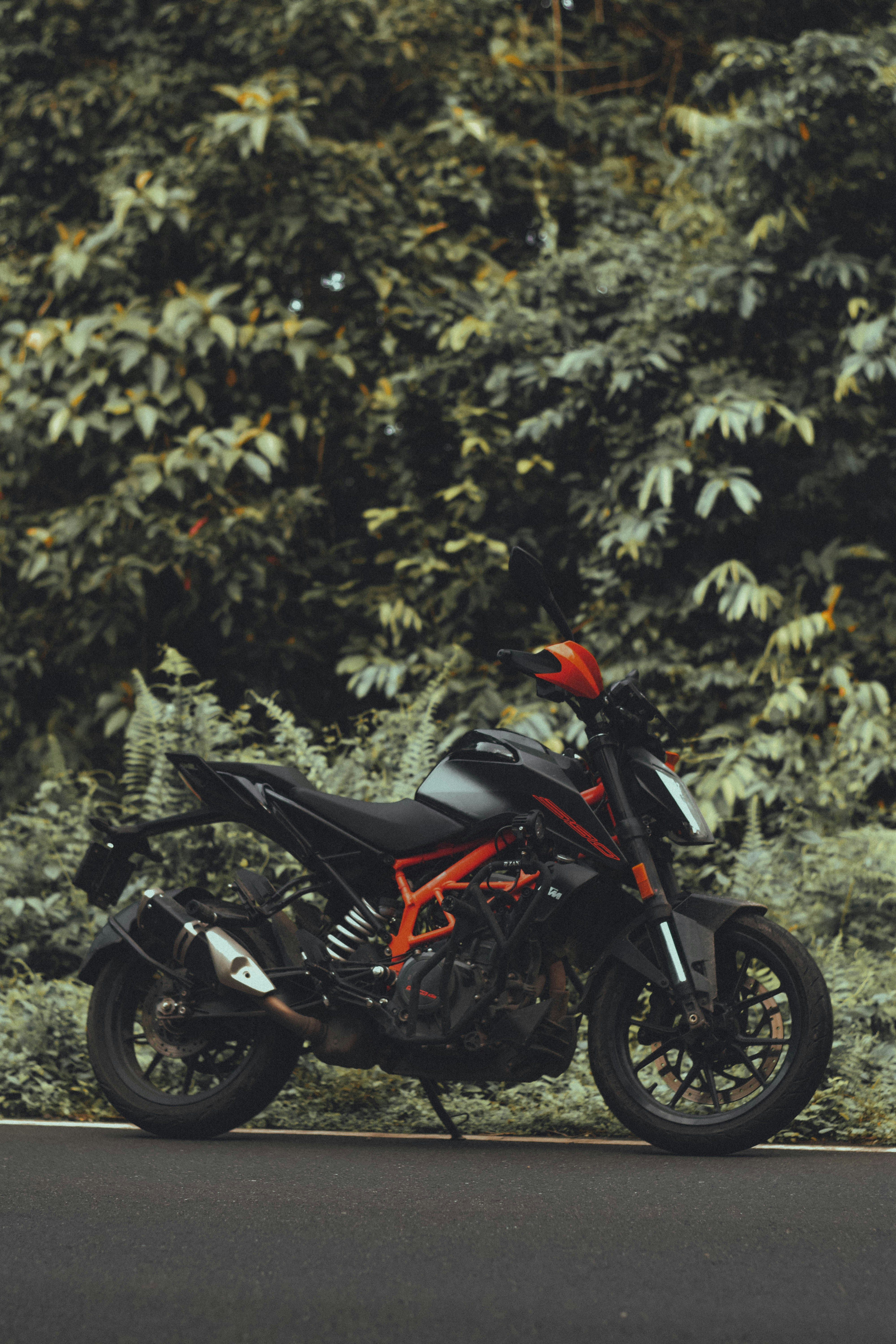 Photo by bottleninja