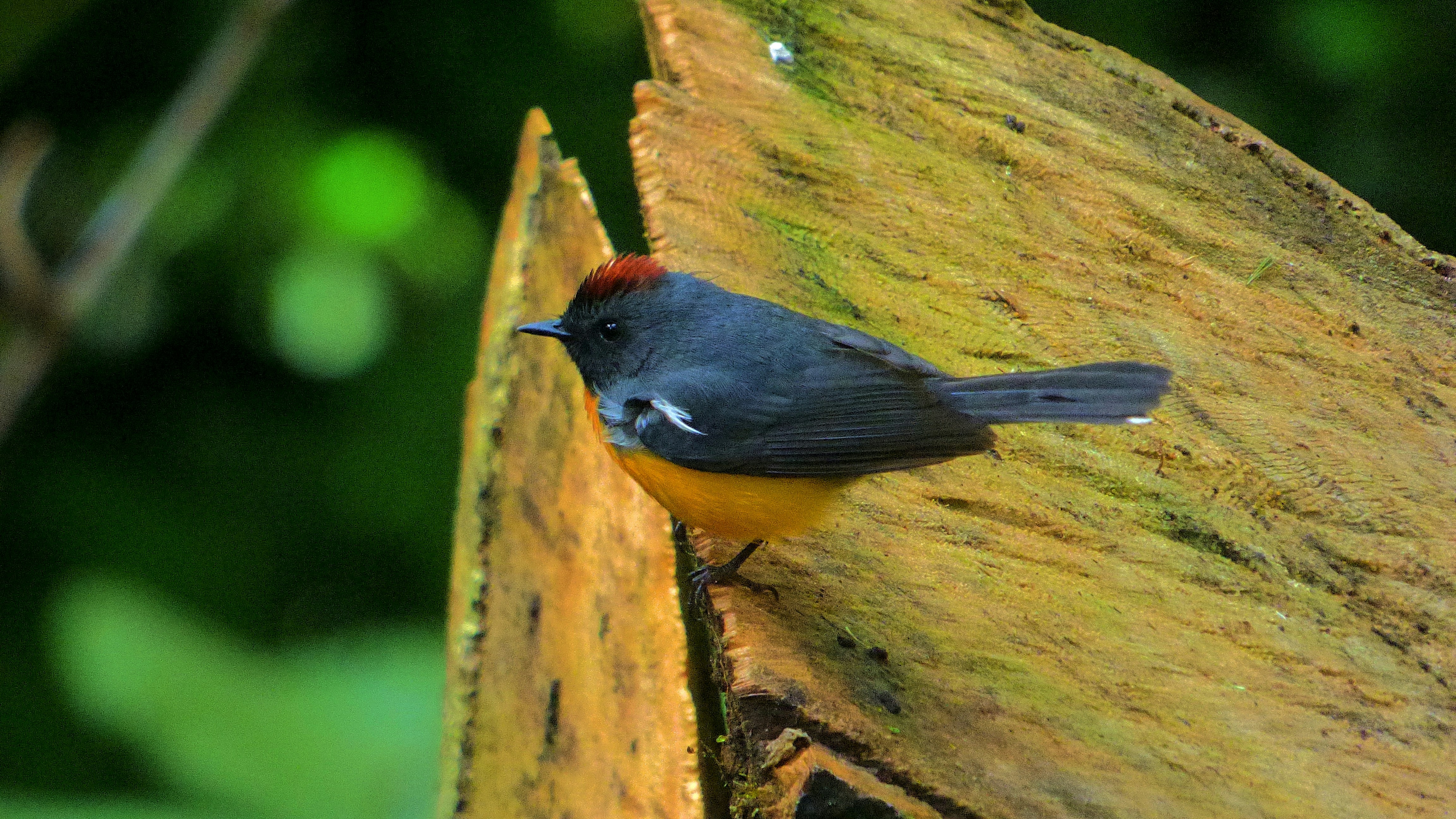 Photo by sweetywilson