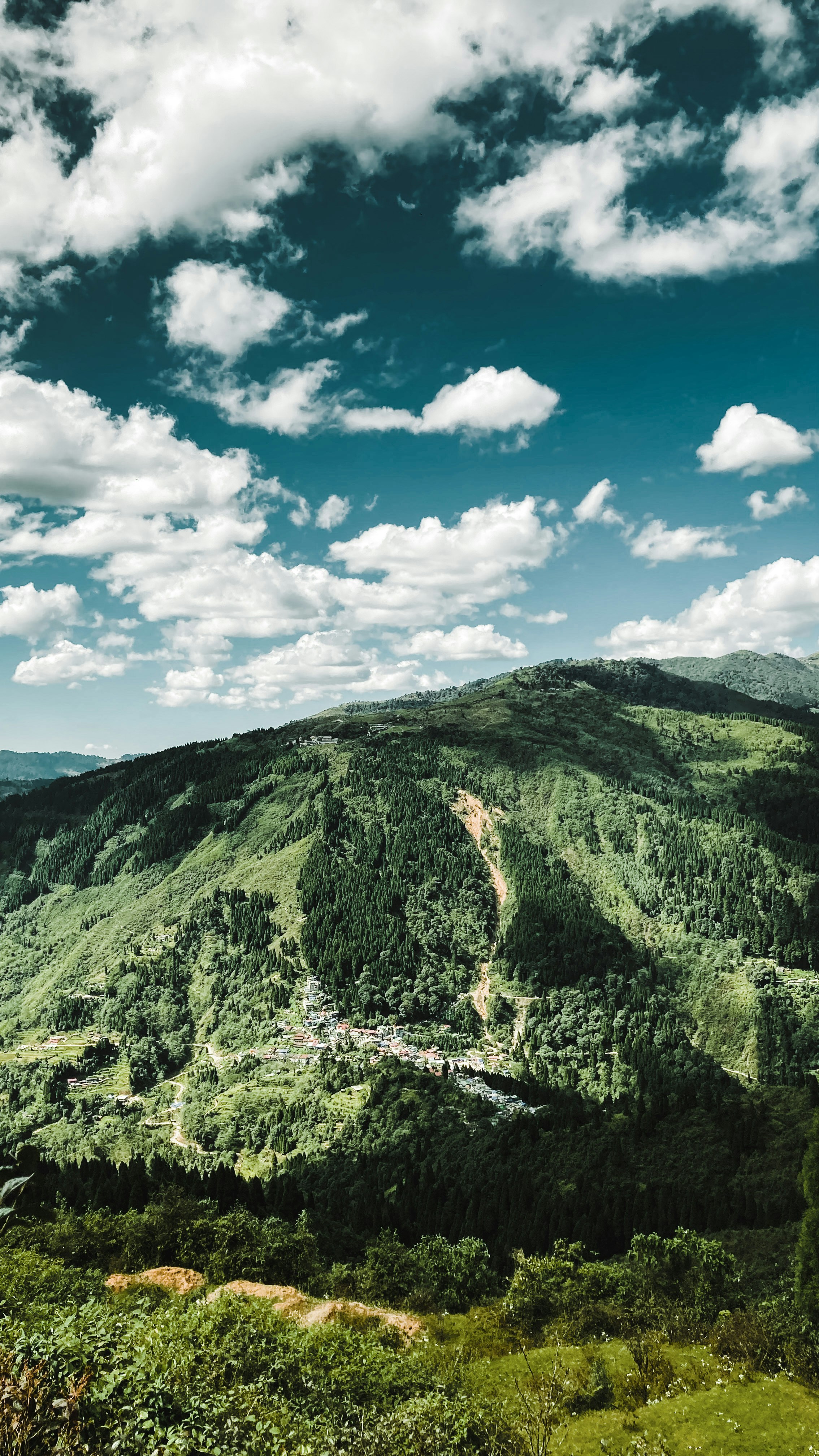 Photo by bottleninja