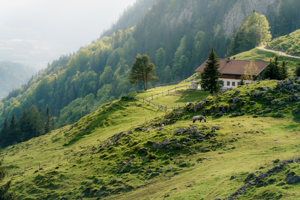 a house on a grassy hill with trees