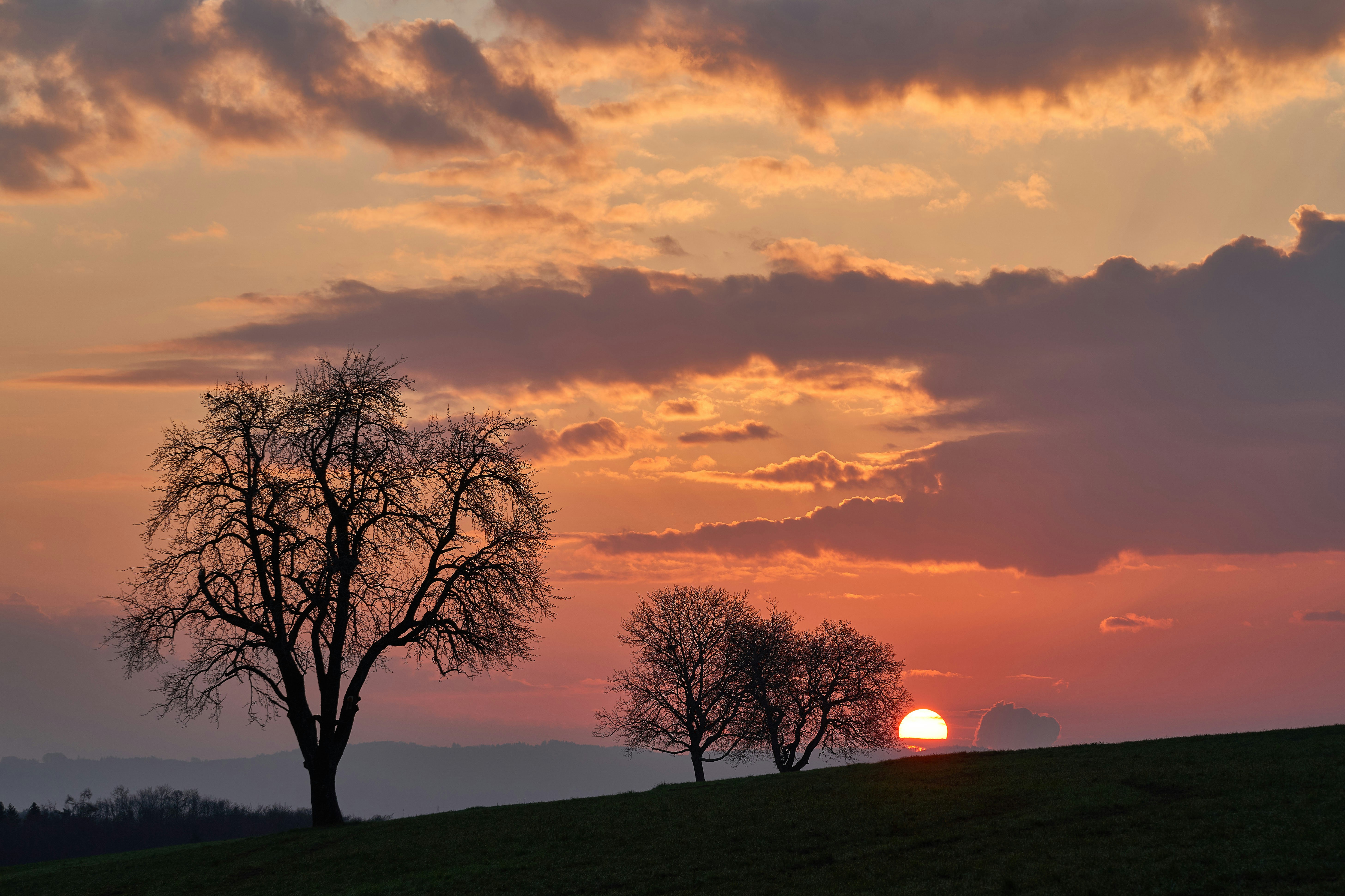 Photo by wolfgang_hasselmann