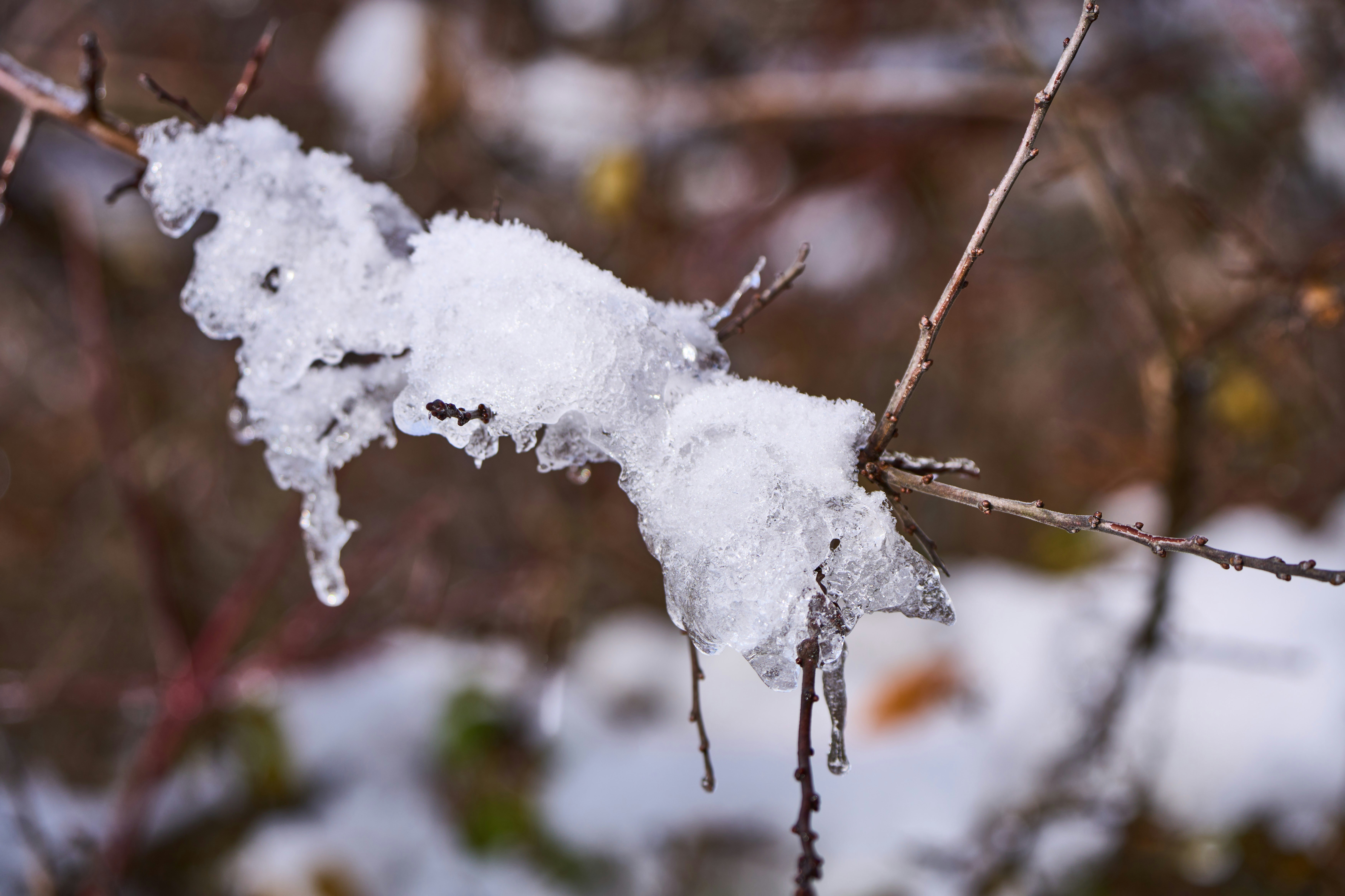 Photo by wolfgang_hasselmann