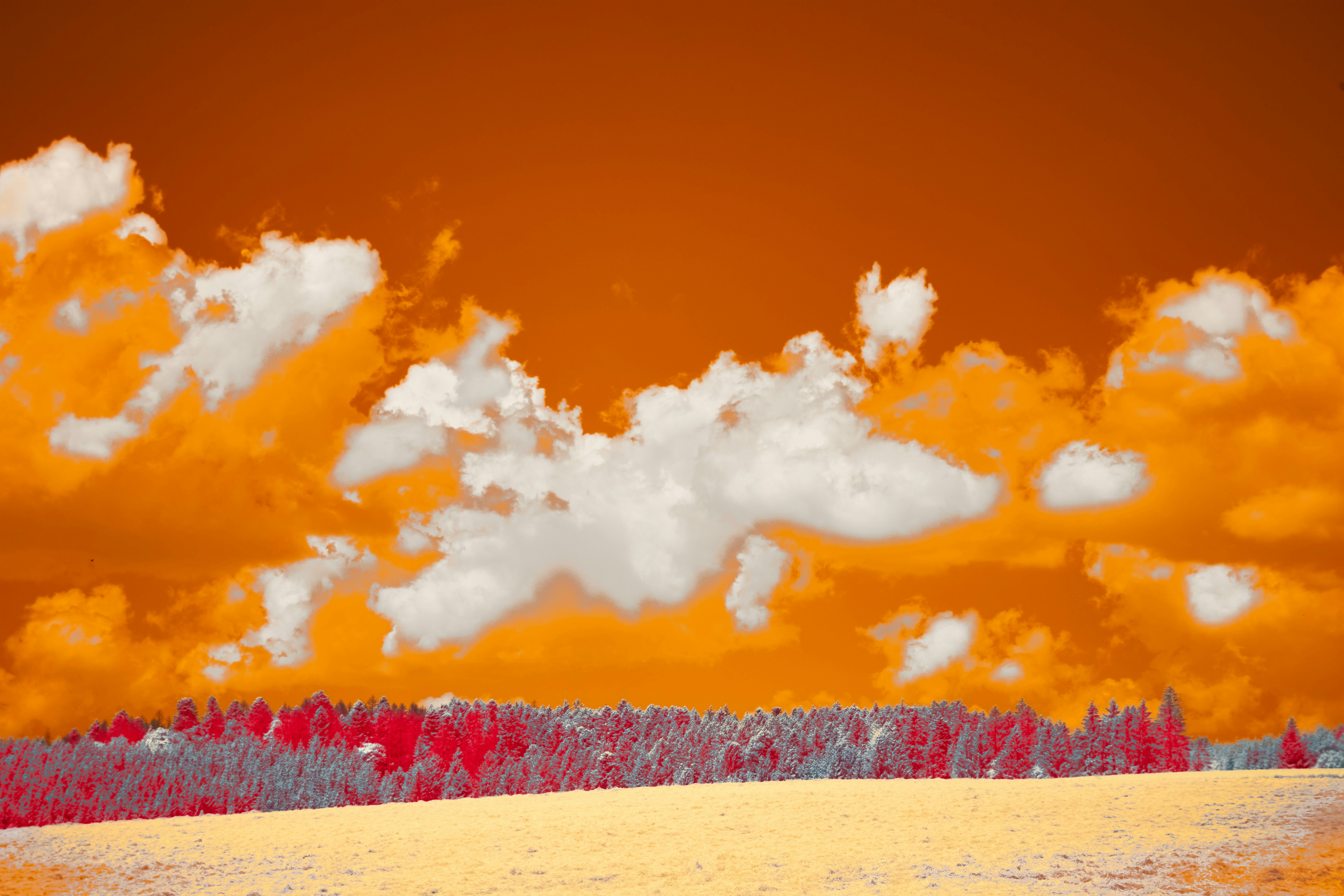 Photo by wolfgang_hasselmann