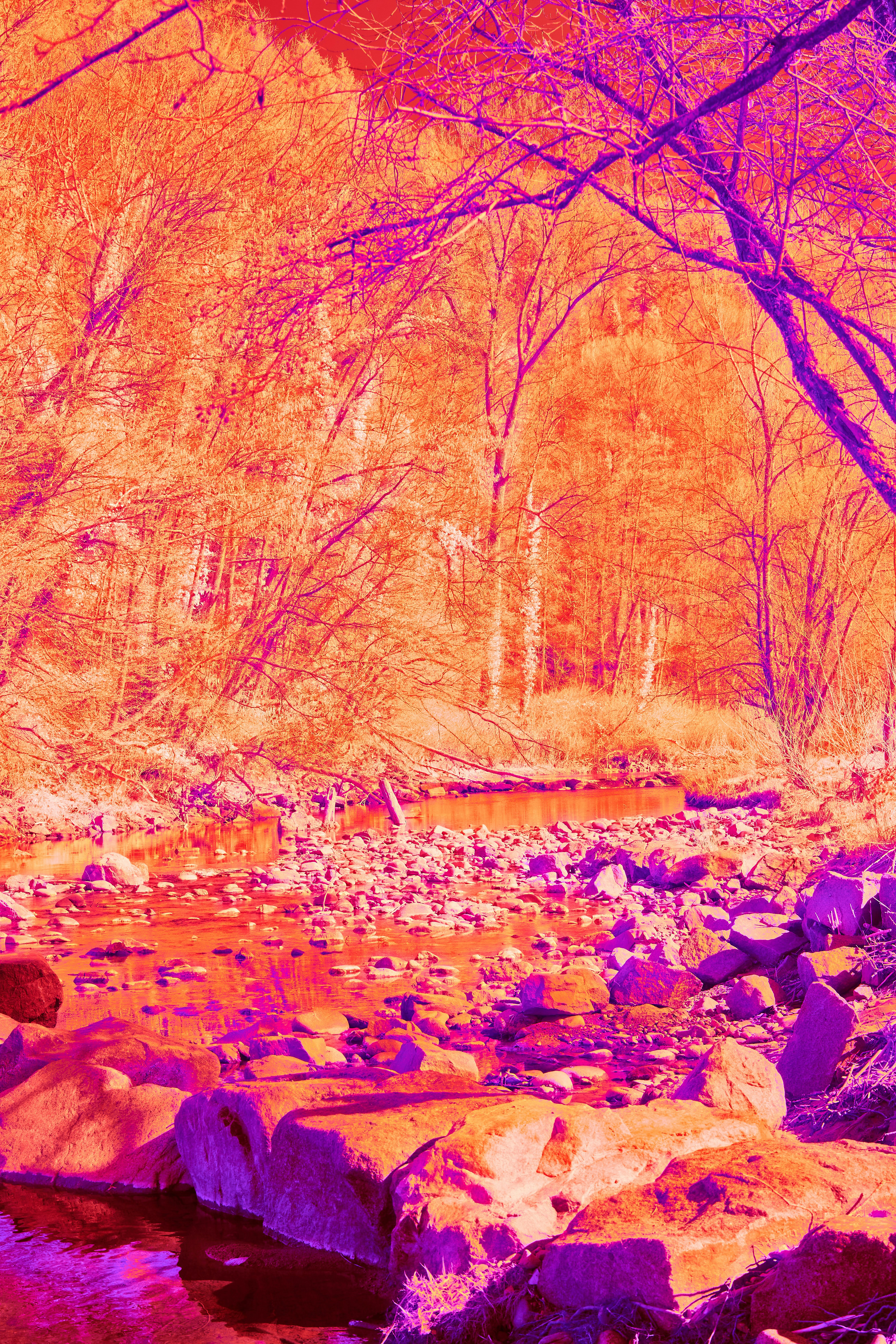 Photo by wolfgang_hasselmann