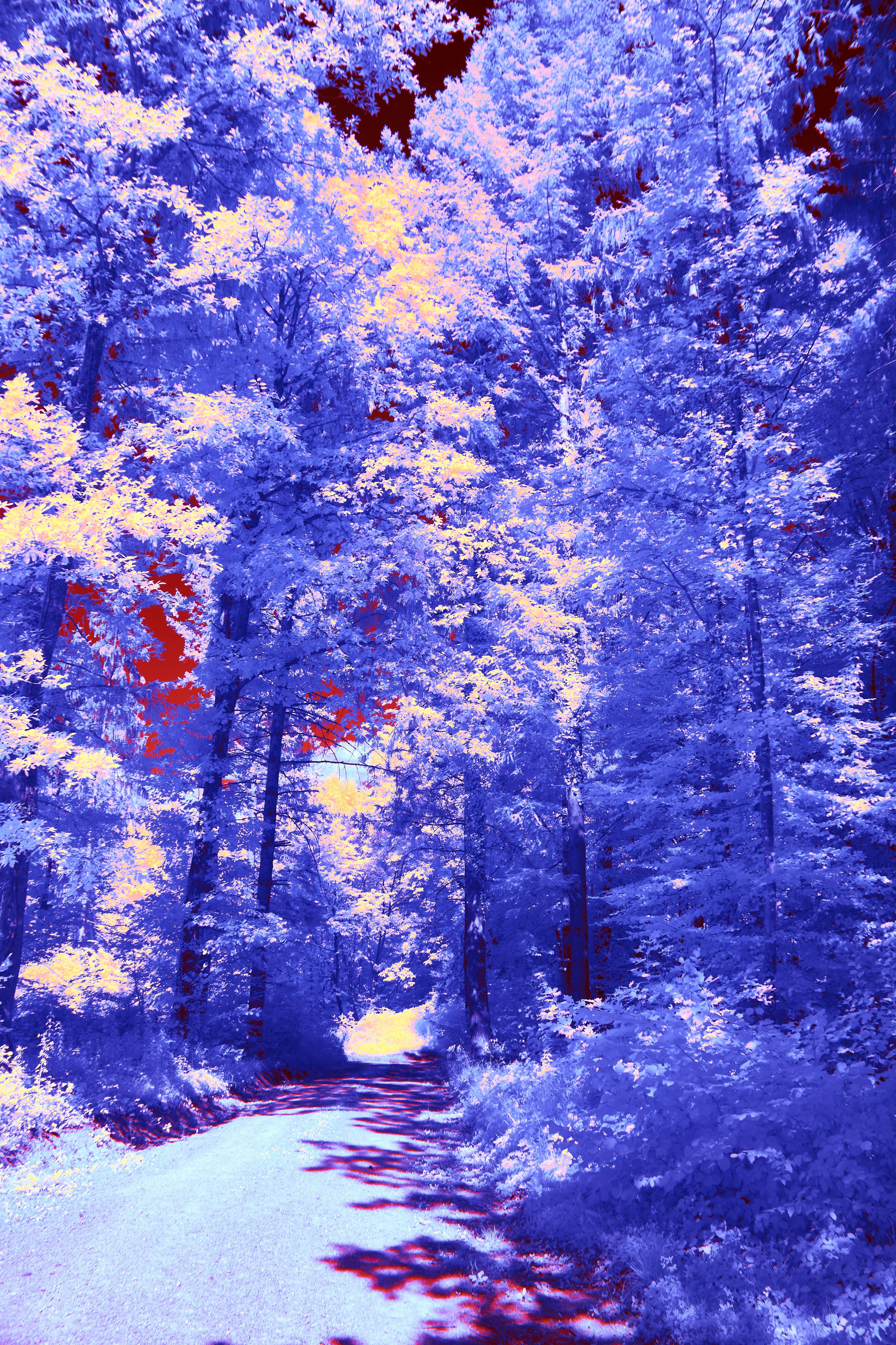 Photo by wolfgang_hasselmann