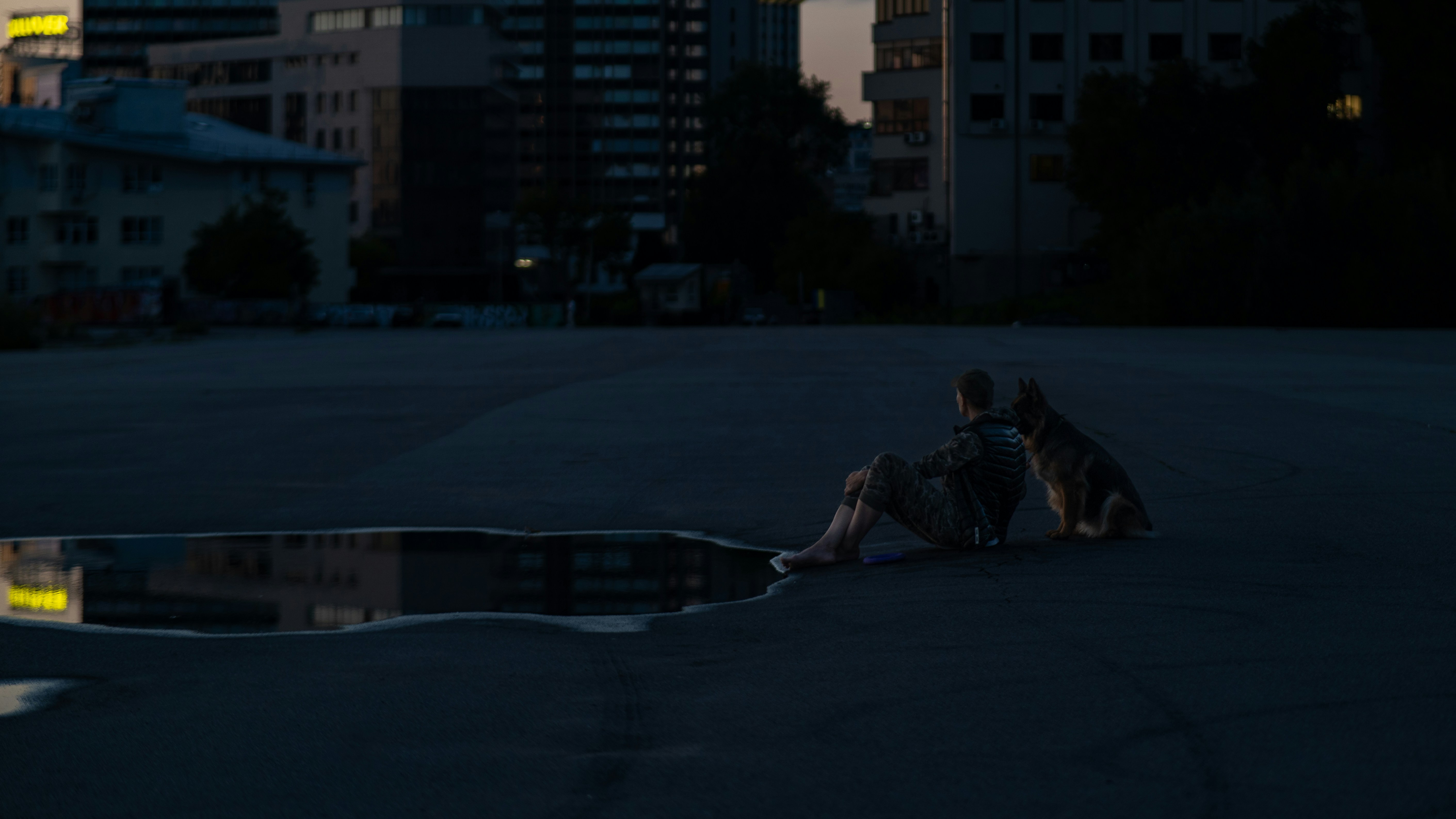 Un perro sentado en el suelo junto a un charco de agua