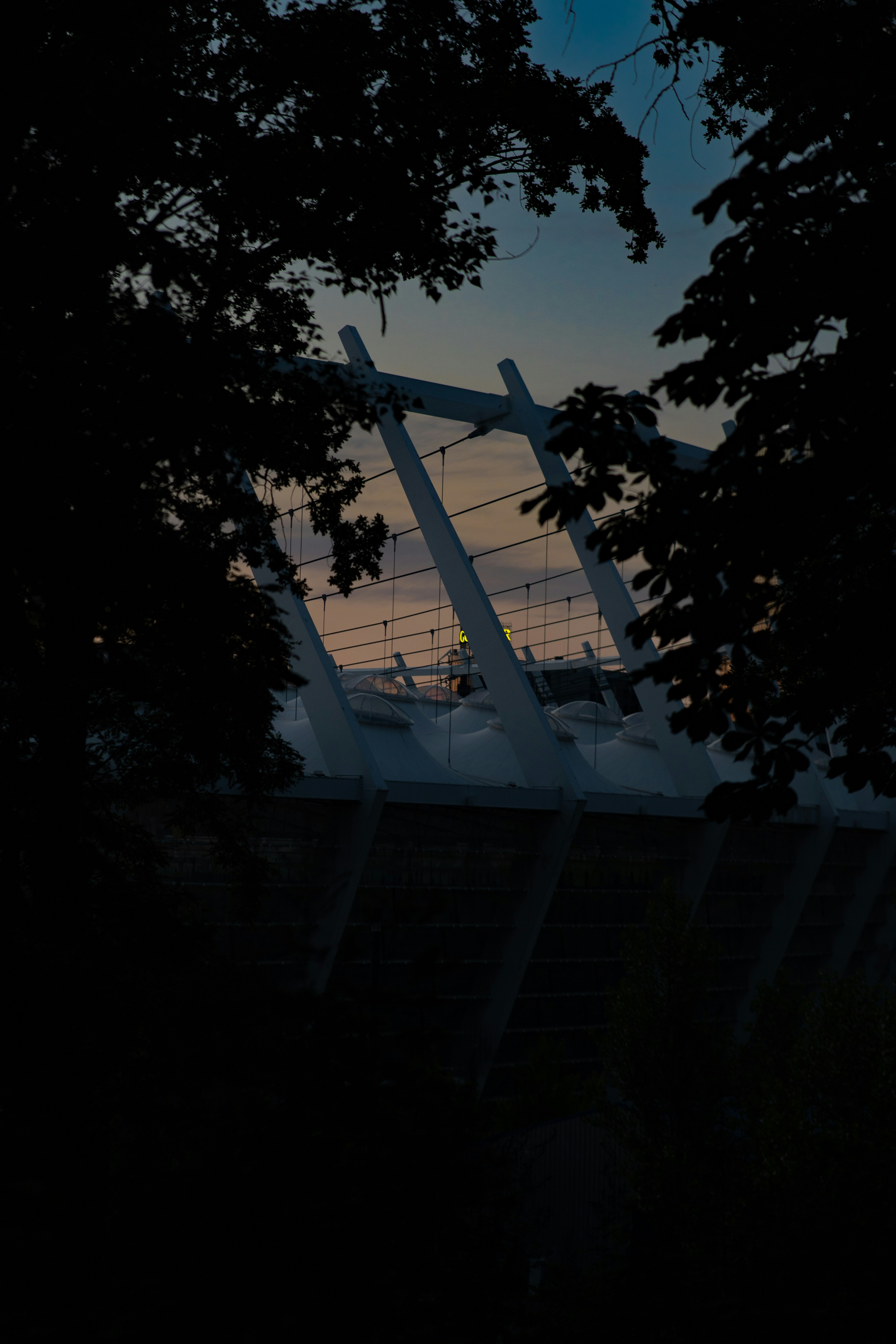 Una vista de un puente a través de algunos árboles