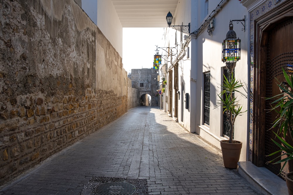 eine schmale Gasse mit einer Topfpflanze an der Seite