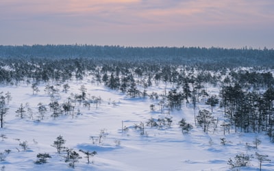 a snow covered field with trees in the distance