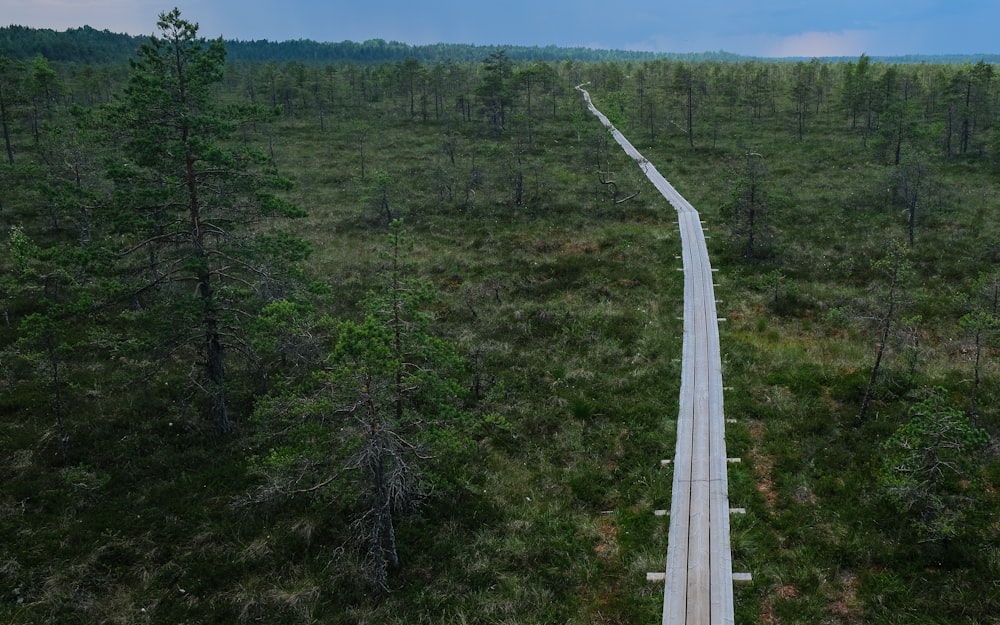 an aerial view of a road in the middle of a forest