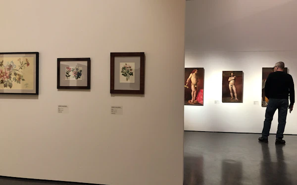 Fine art