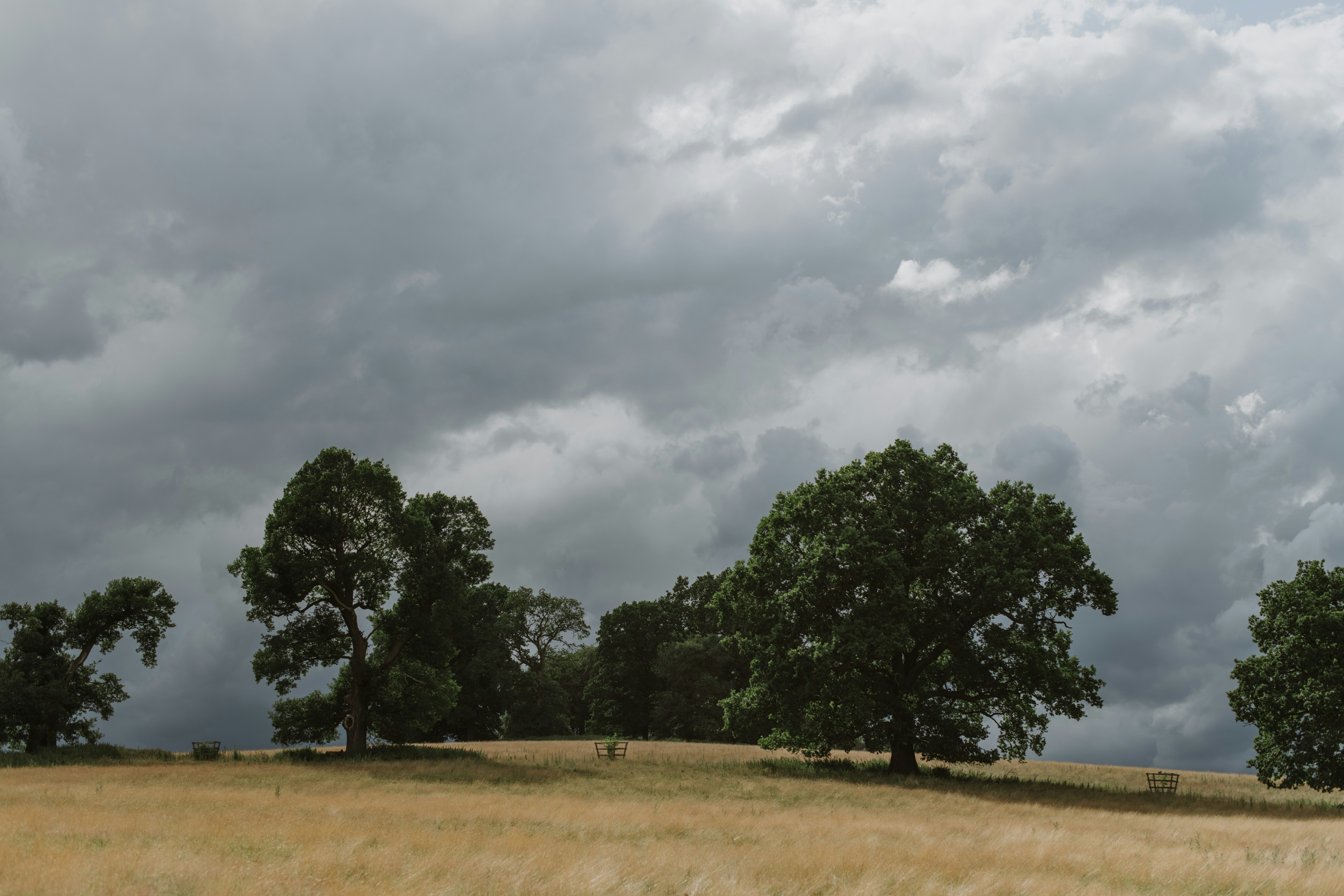 Photo by anitaaustvika