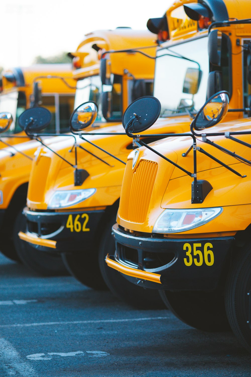 a row of yellow school buses parked in a parking lot