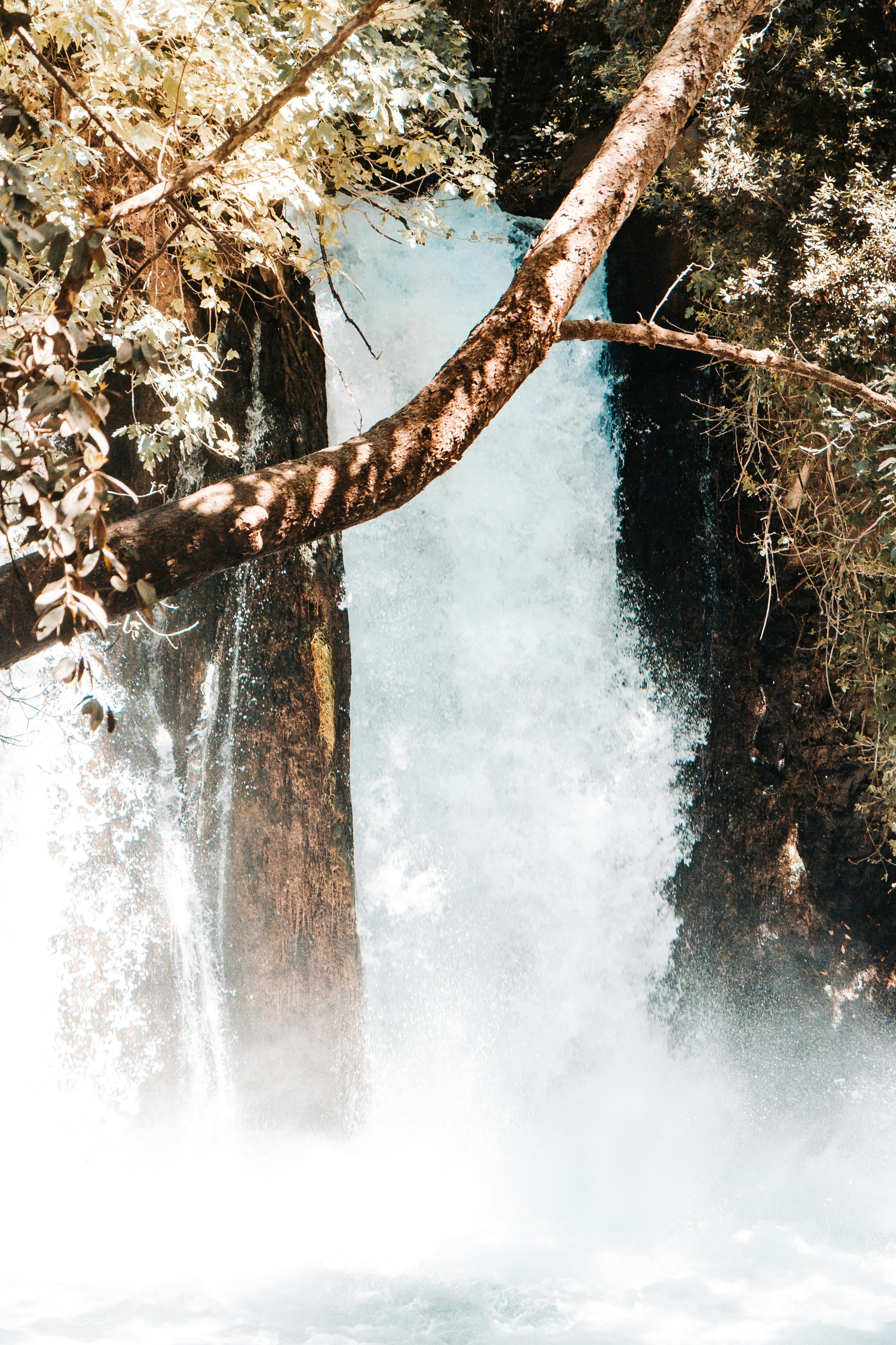 Photo by 0vss0