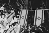 Three small flags with the Star of David symbol hang interspersed among the leaves and branches of a tree. The image is in black and white, emphasizing the contrast between the flags and the background foliage.