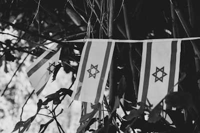 Three small flags with the Star of David symbol hang interspersed among the leaves and branches of a tree. The image is in black and white, emphasizing the contrast between the flags and the background foliage.