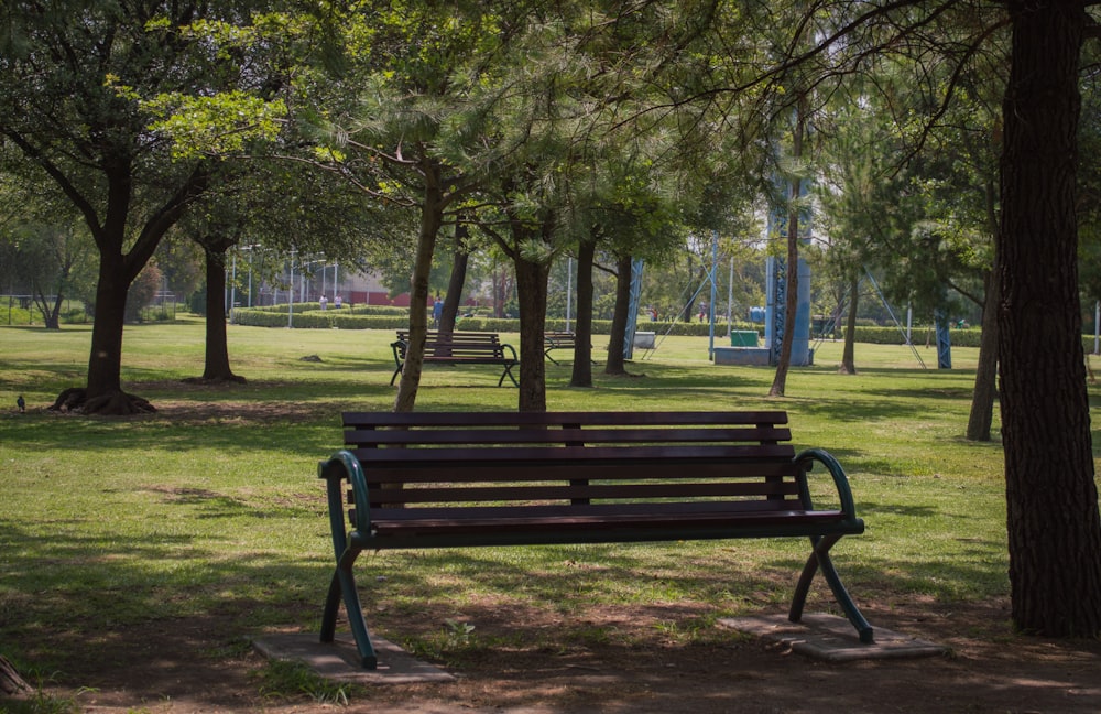 a park bench sitting in the middle of a park