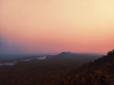 A vibrant digital painting of a serene forest scene at dusk.