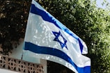 A flag with blue and white colors is displayed outdoors, prominently featuring a blue Star of David in the center. The flag is waving slightly in front of a background filled with lush green leaves and branches. The scene includes a structure with a decorative wall, adding architectural interest.