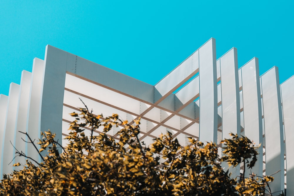 a white building with a tree in front of it