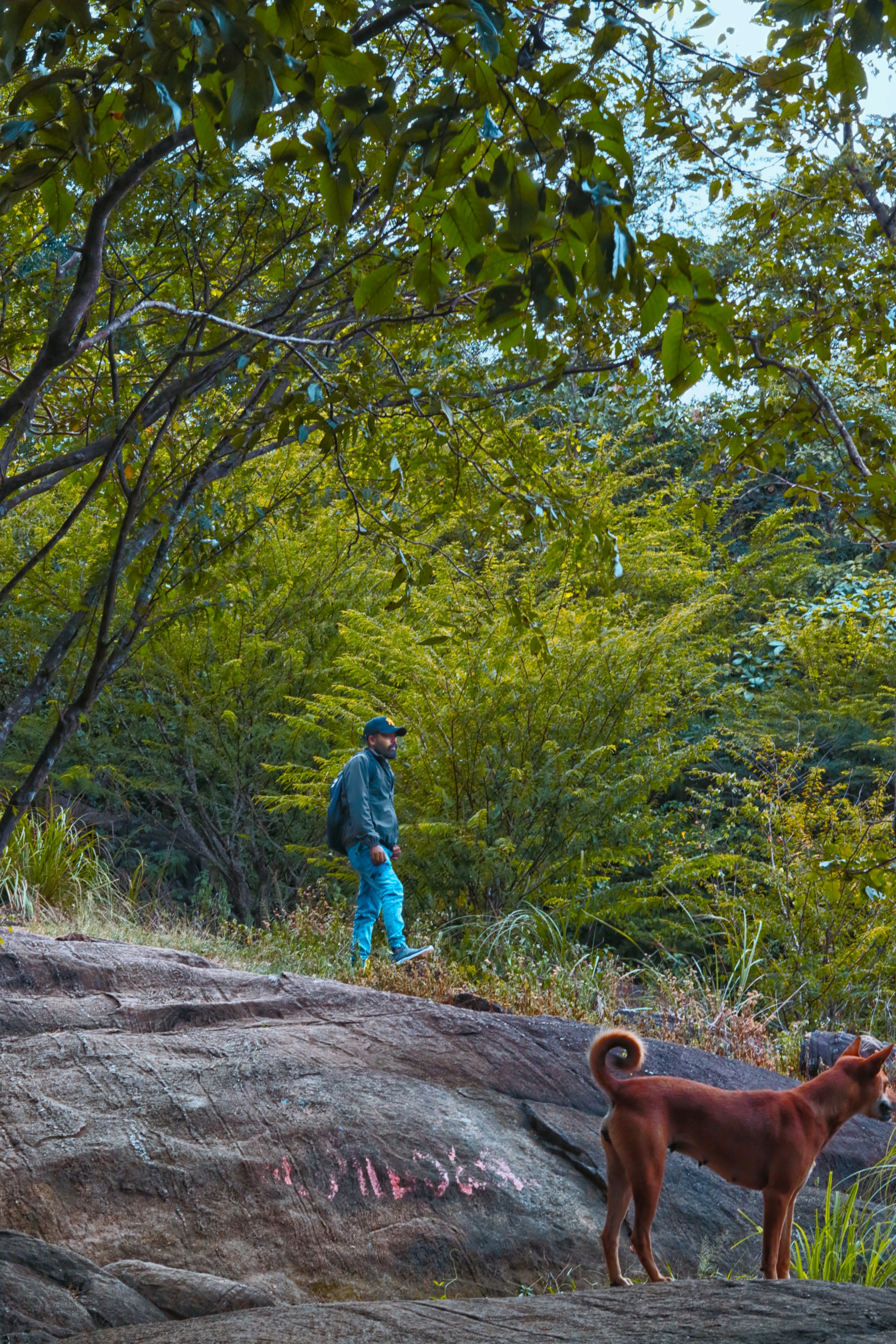 woman wearing yellow long-sleeved dress under white clouds and blue sky during daytime