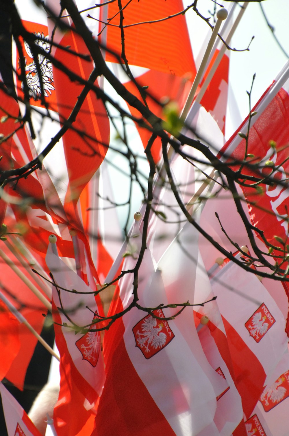 a bunch of red and white flags hanging from a tree