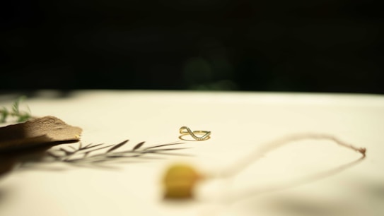A small, delicate ring with a loop design sits on a light surface. There is a soft, golden lighting effect, creating gentle shadows. A blurred twig and an out-of-focus fabric piece are placed nearby, adding texture to the image.