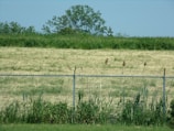 Chain link fencing installed along a rural property boundary.