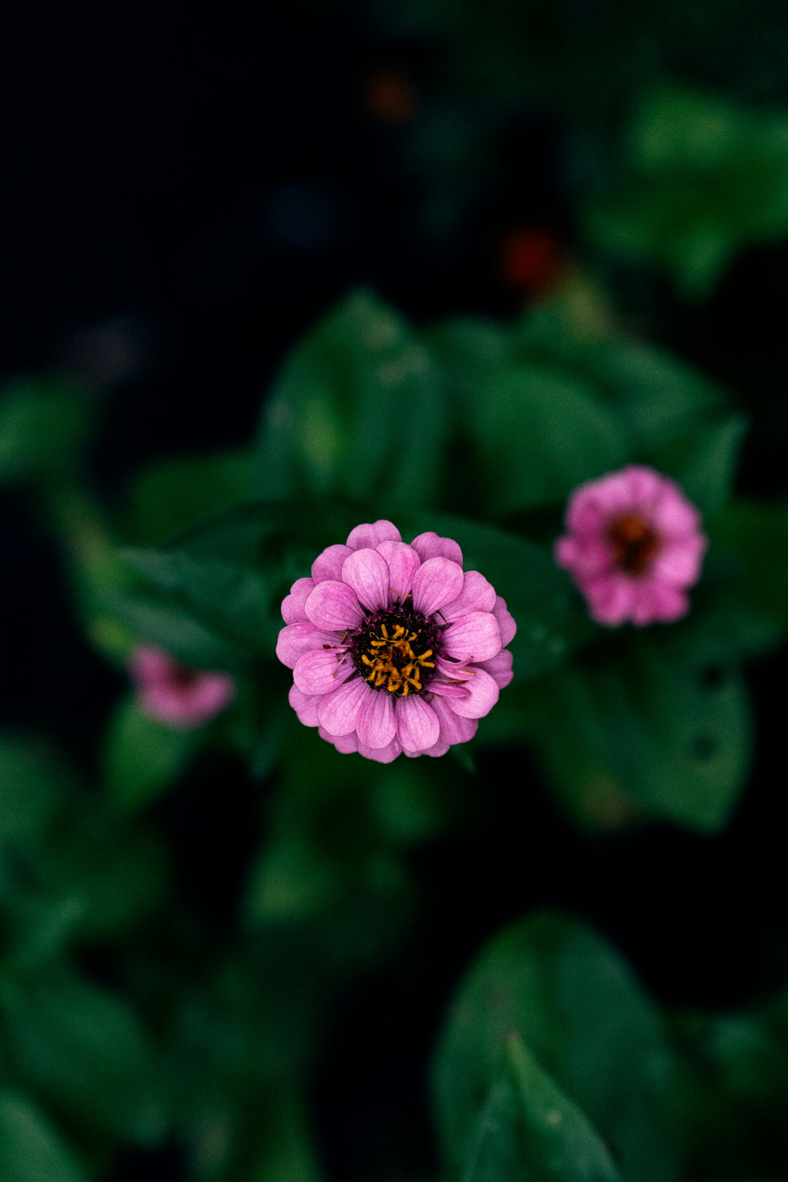 Photo by khodzinskyi