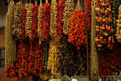 Multiple strands of dried vegetables and herbs, including red peppers, hung from the ceiling in a market setting. The arrangement appears vibrant and rustic, creating a display of texture and color.