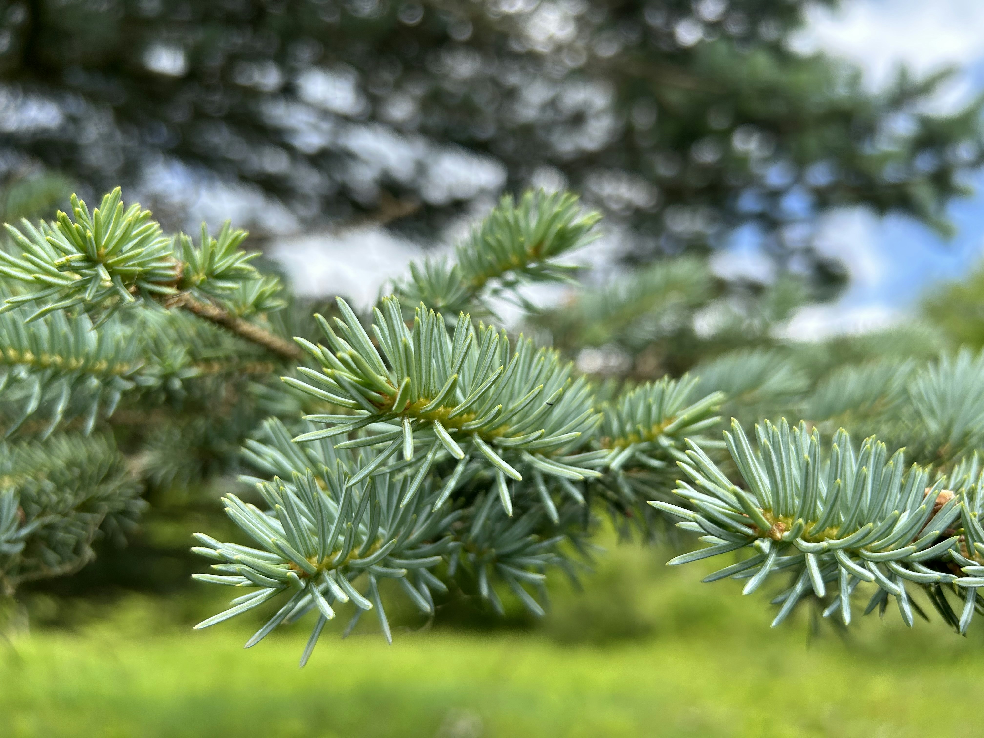 Photo by photobro2000