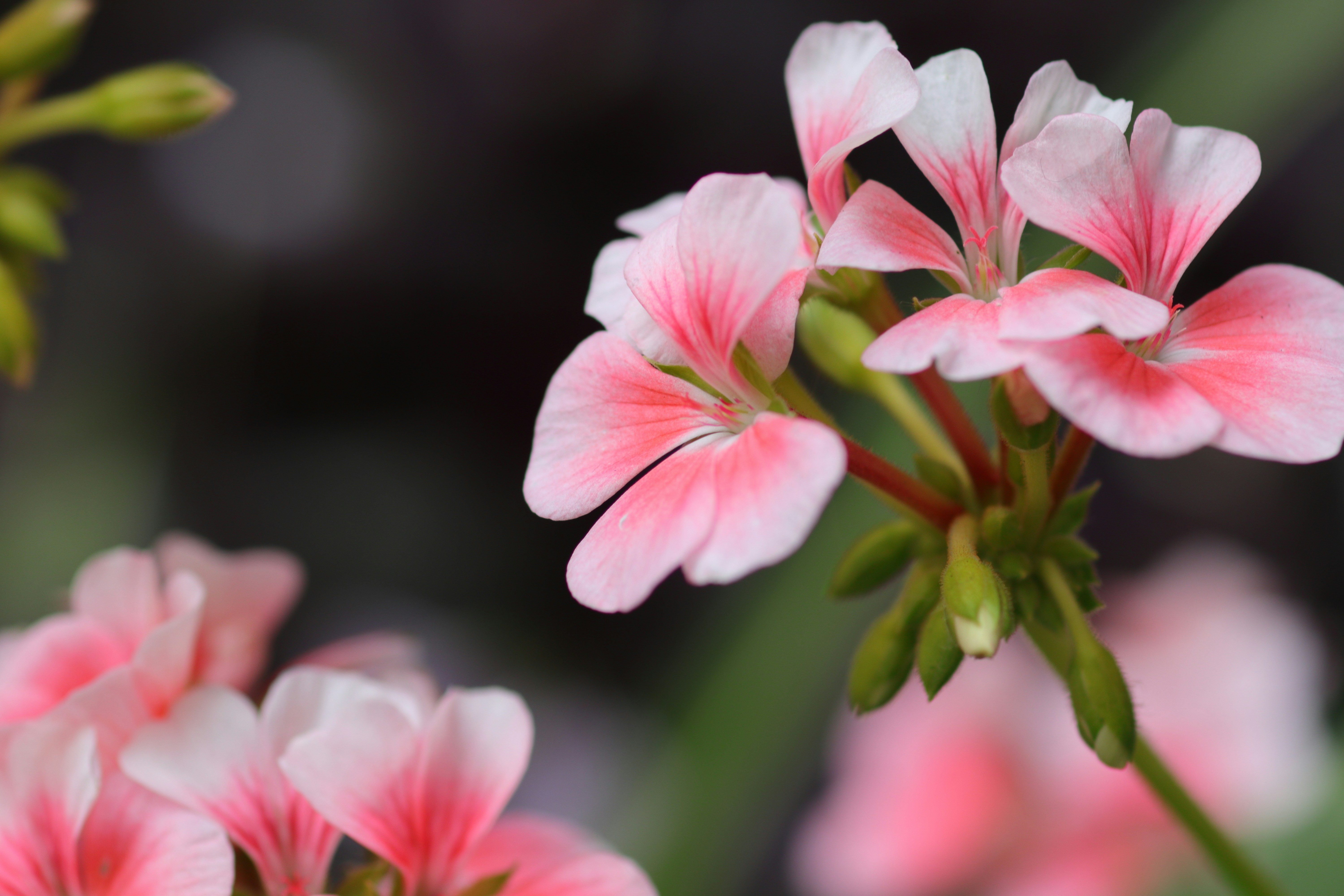 Photo by takatsuchida