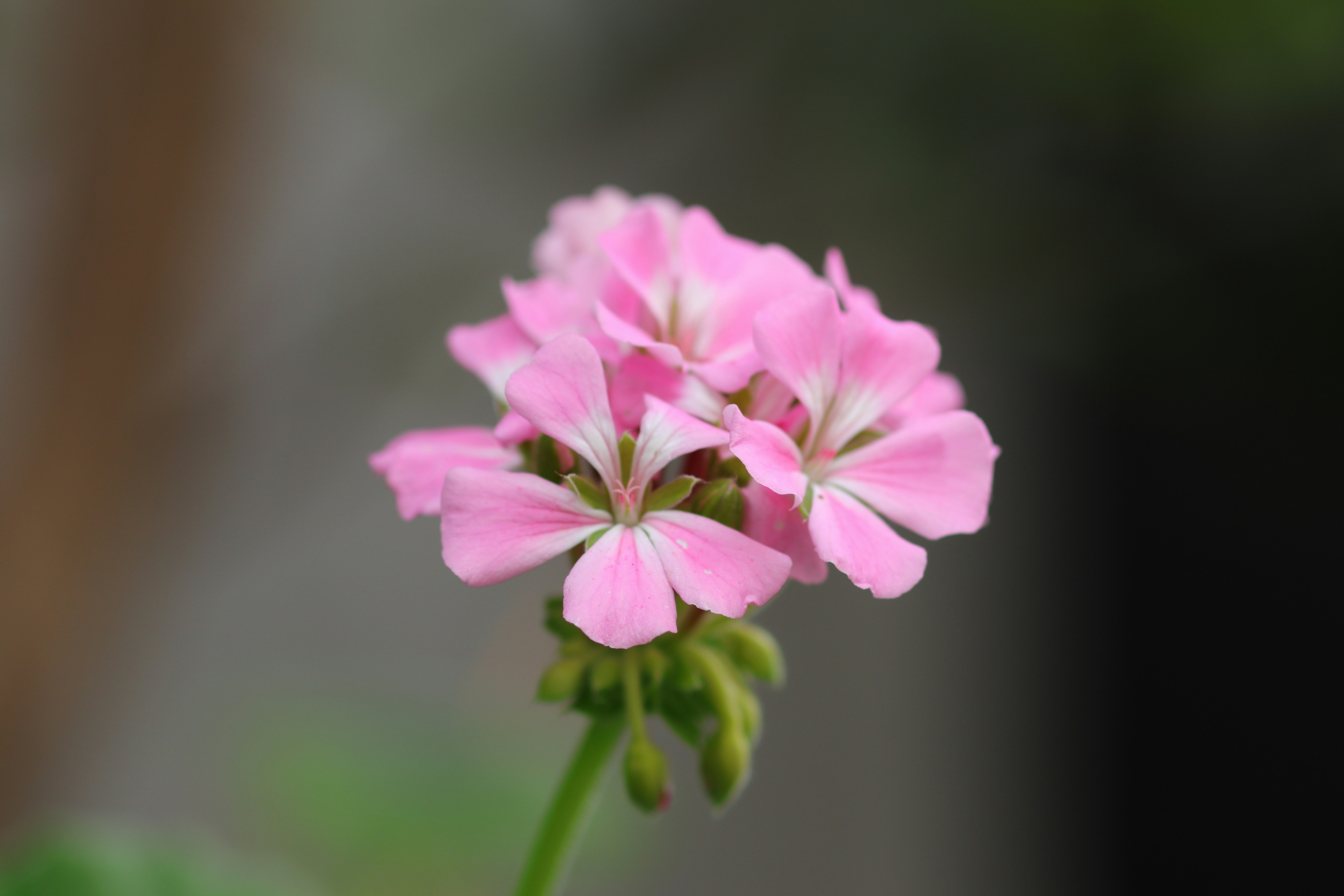 Photo by takatsuchida