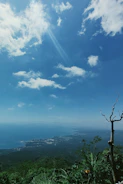 Panoramic view of Africa showing bustling cities by the ocean, mining sites, oil and gas facilities, agricultural fields, and wild landscapes under a dark blue sky.