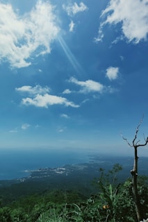 A panoramic view of JD Group’s diverse business operations across Andhra Pradesh.