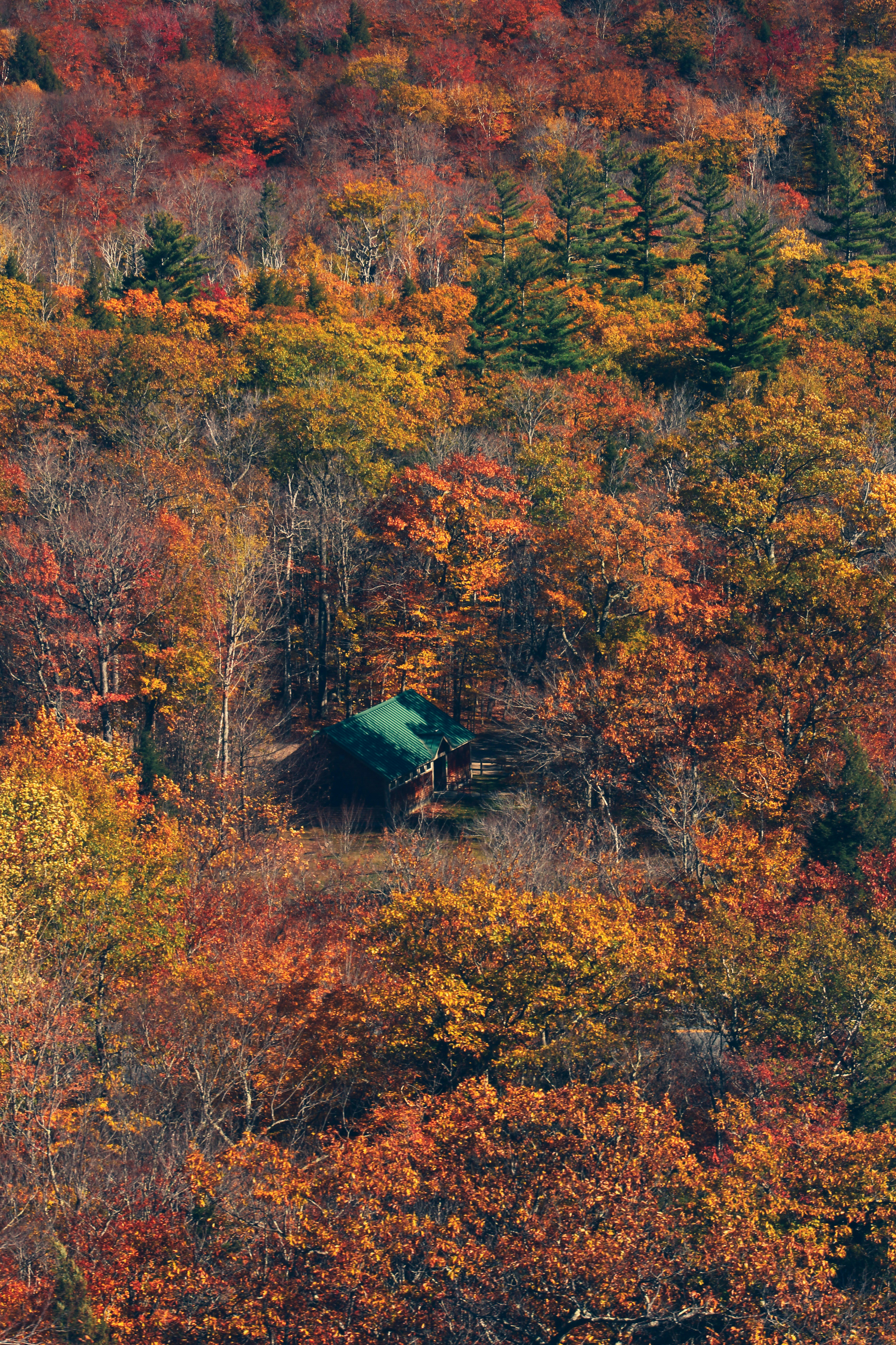 Beauty Parlour at Home