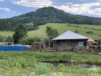 A rustic wooden house with a metal roof is situated in a rural landscape. Rolling green hills and a densely forested hill are in the background under a partly cloudy sky. A small stream runs in front of the house, bordered by lush green grass and wildflowers. A vibrant blue fence and other wooden structures are nearby, adding to the rural charm.
