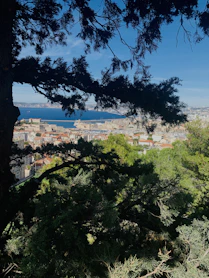a view of a city from the top of a hill