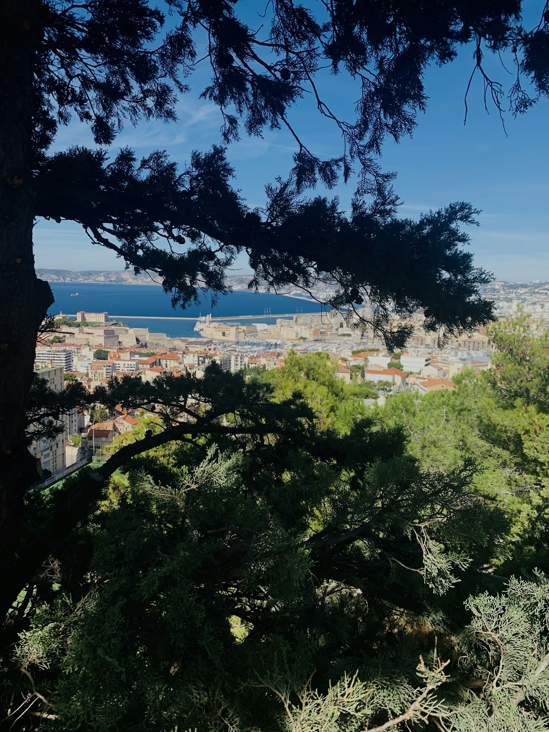 a view of a city from the top of a hill