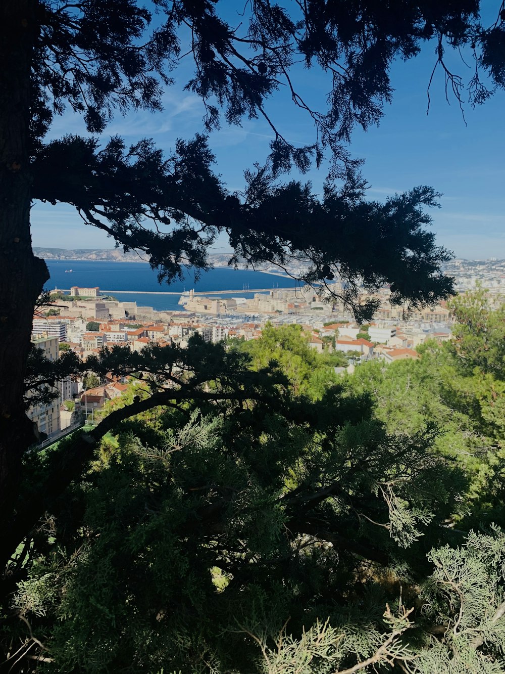 a view of a city from the top of a hill