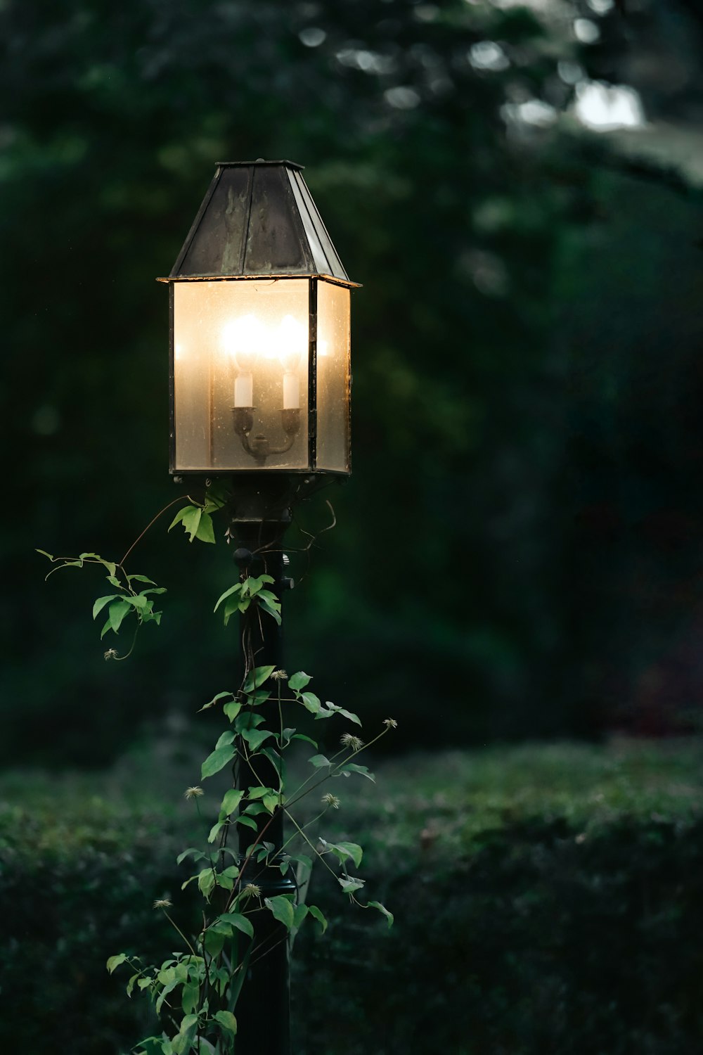 a light that is on a pole in the grass