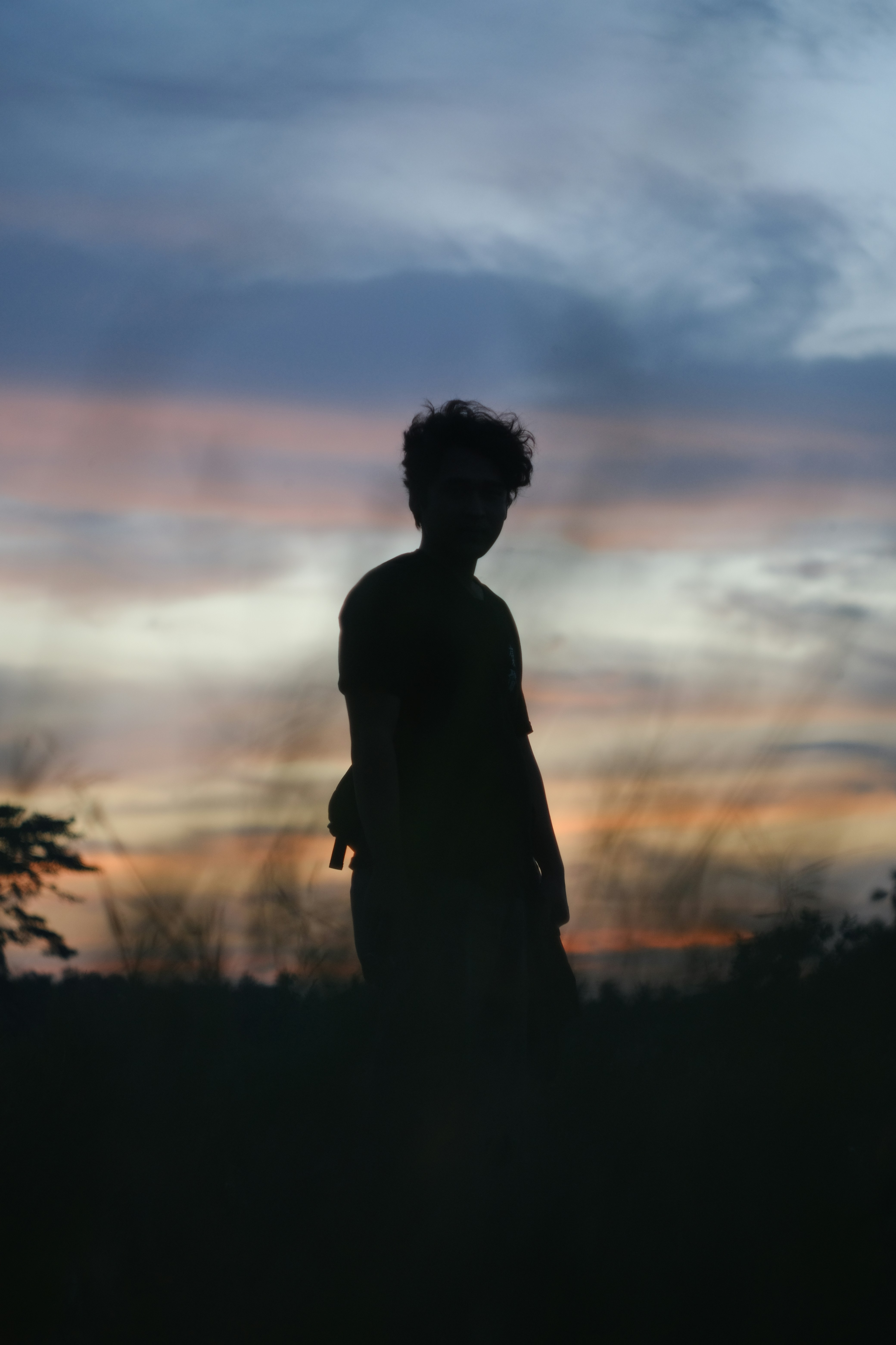 a silhouette of a person standing in a field