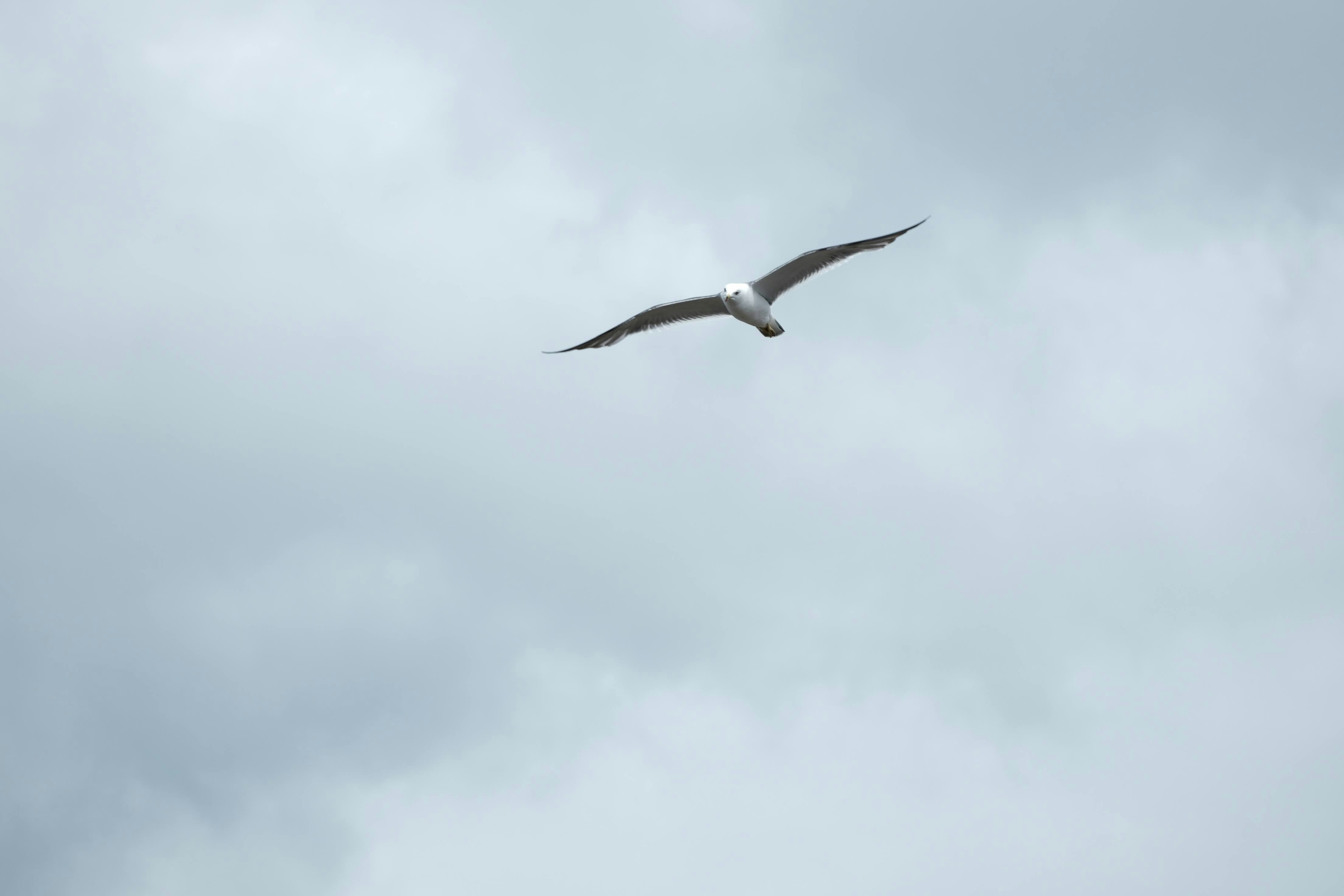 Photo by seiya_maeda