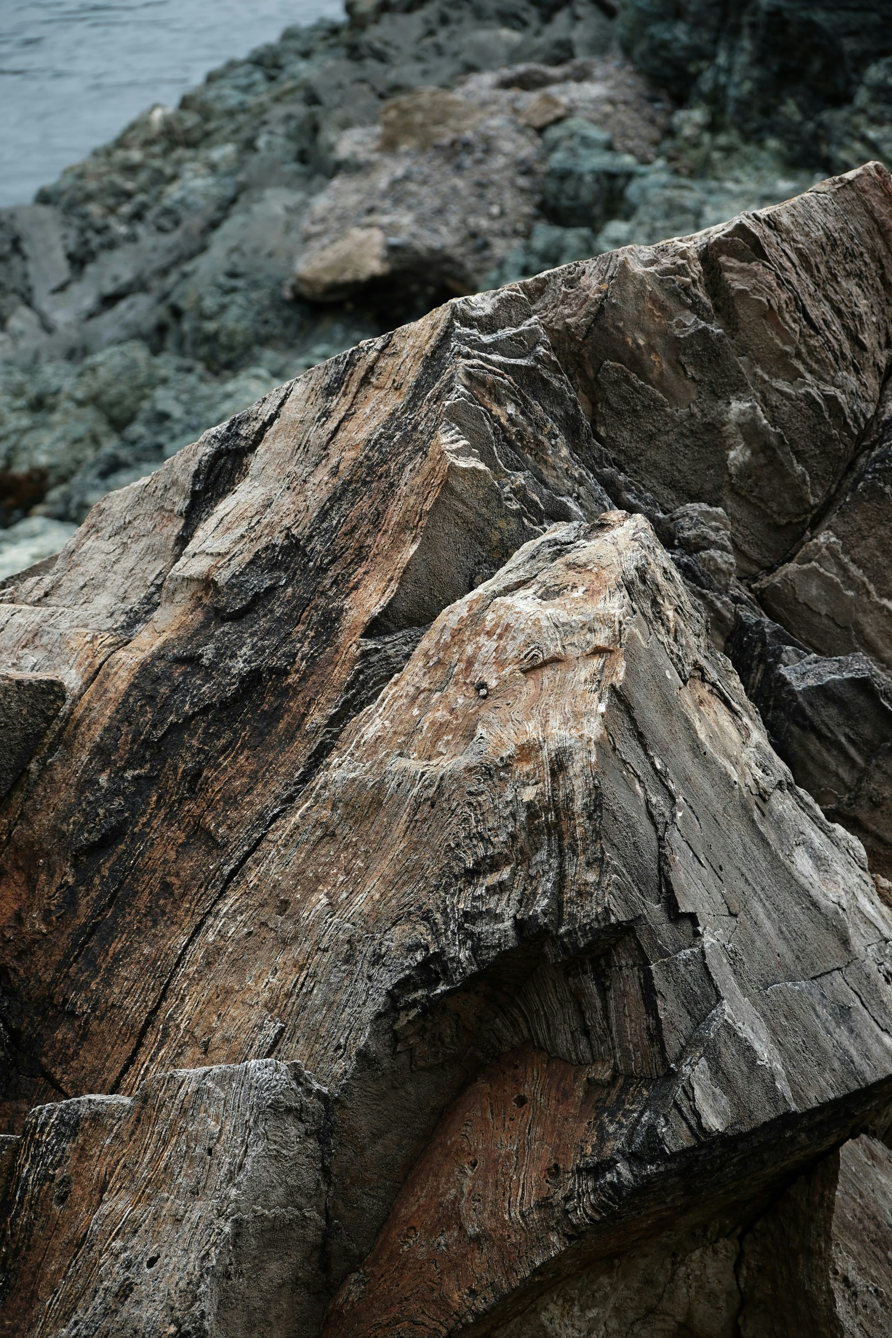 Photo by seiya_maeda