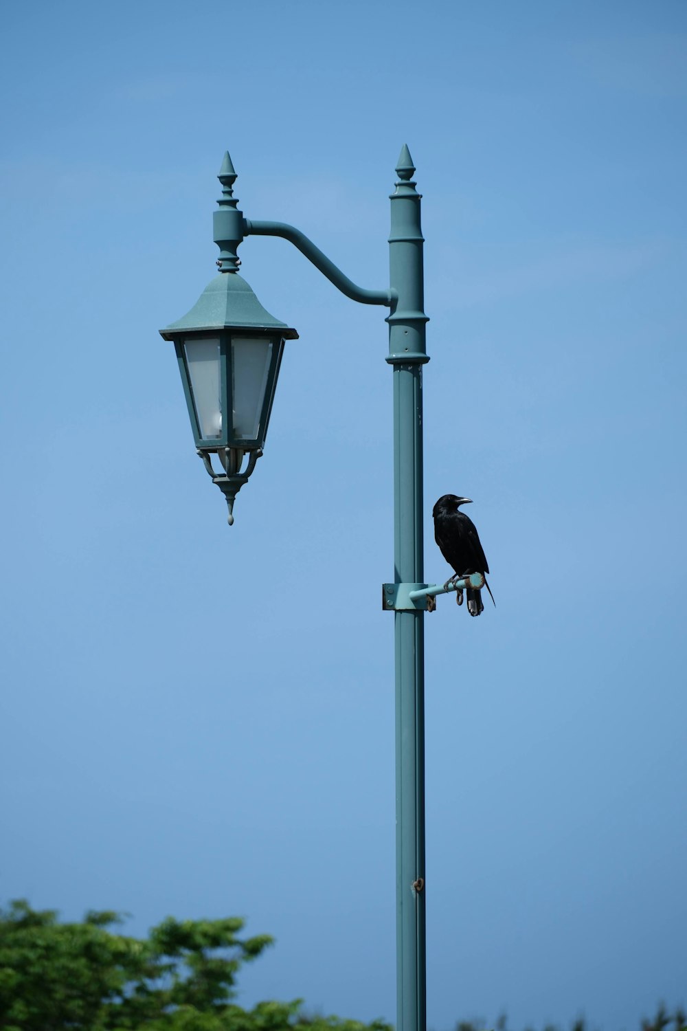 a bird is perched on a lamp post