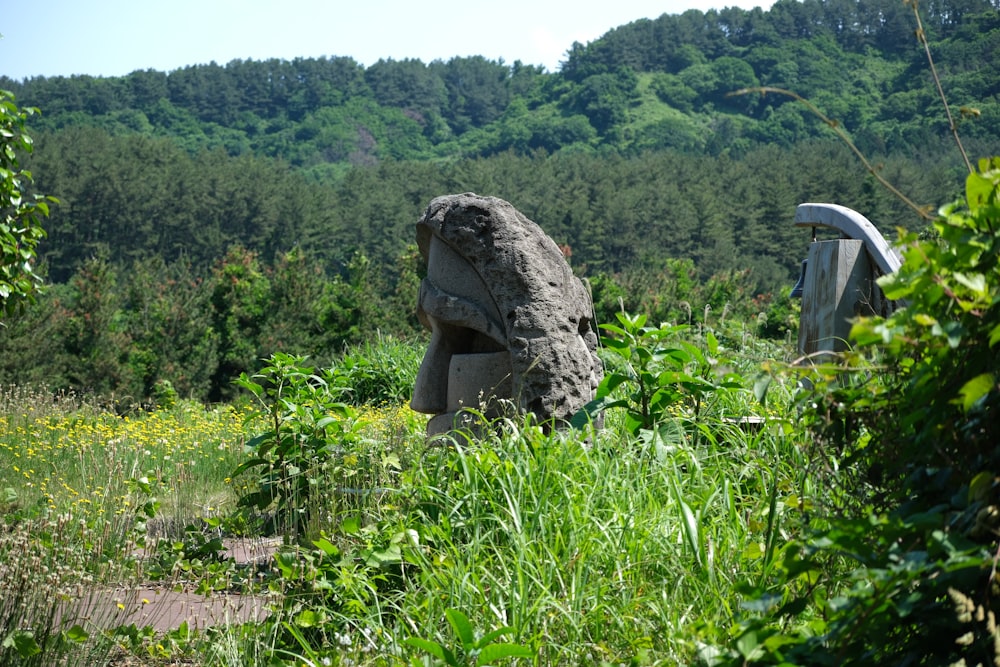 a large rock sitting in the middle of a lush green field