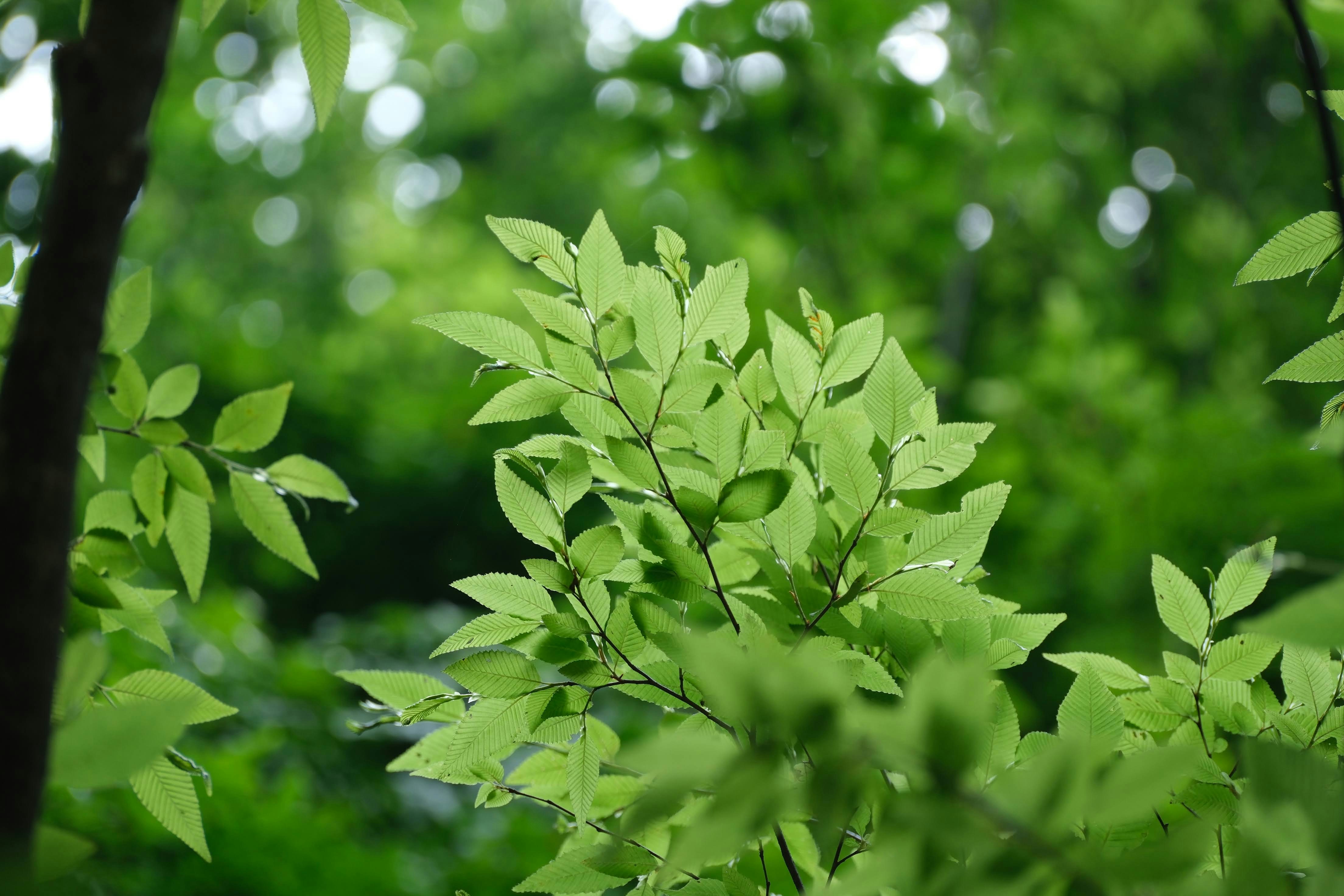 Photo by seiya_maeda