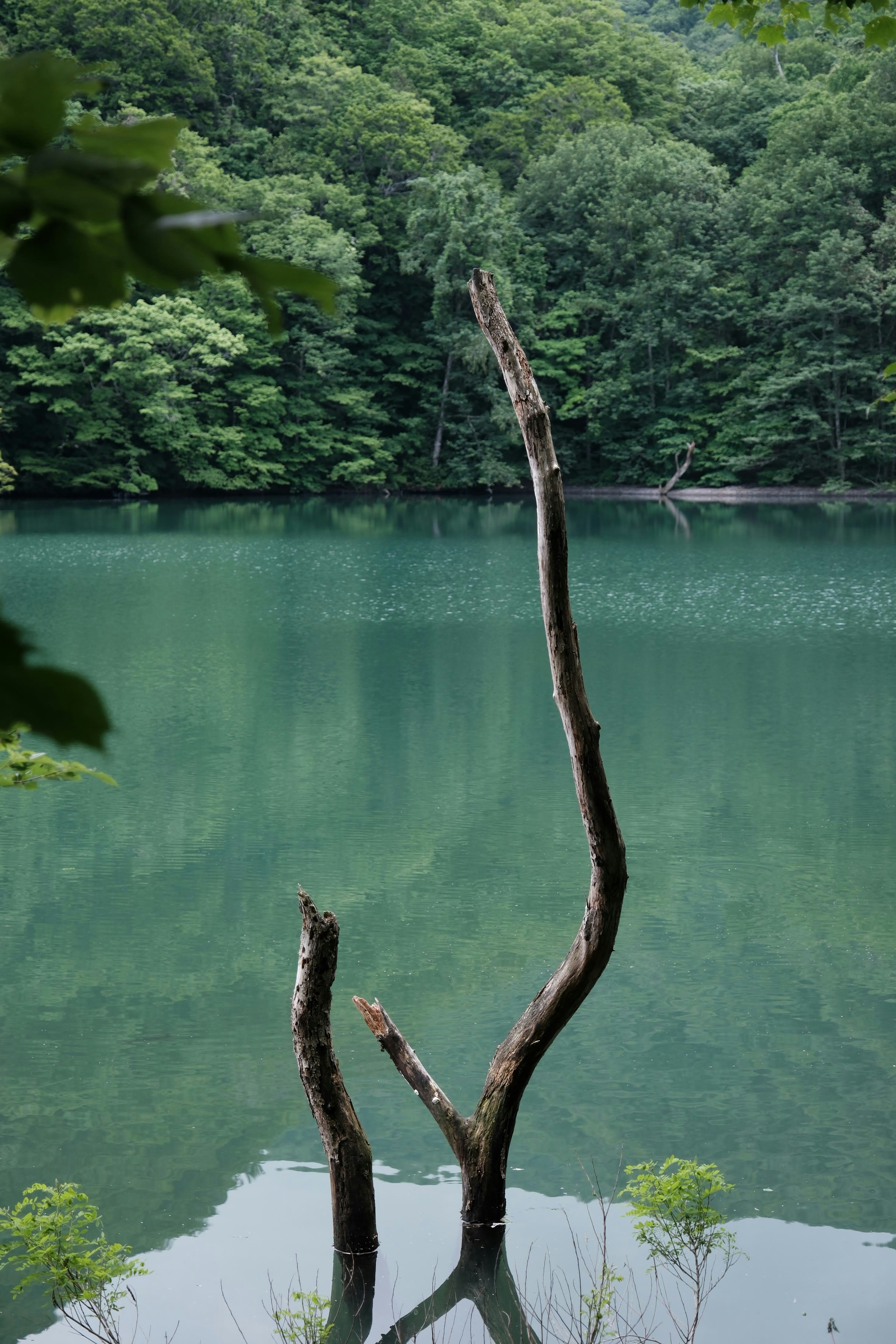 Photo by seiya_maeda