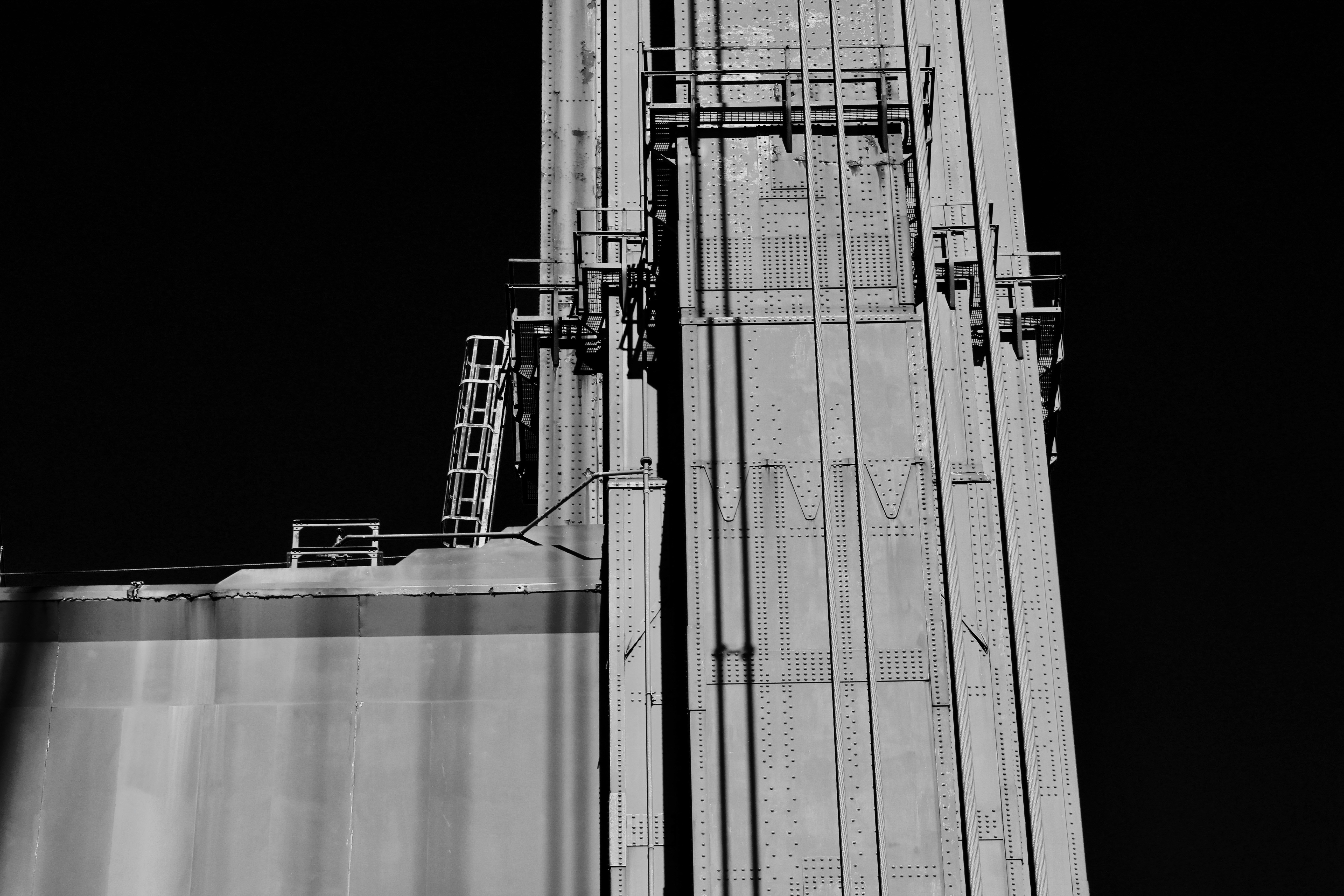 Photo by fogcityfish